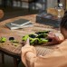 42161 LEGO® Technic Lamborghini Huracán Tecnica